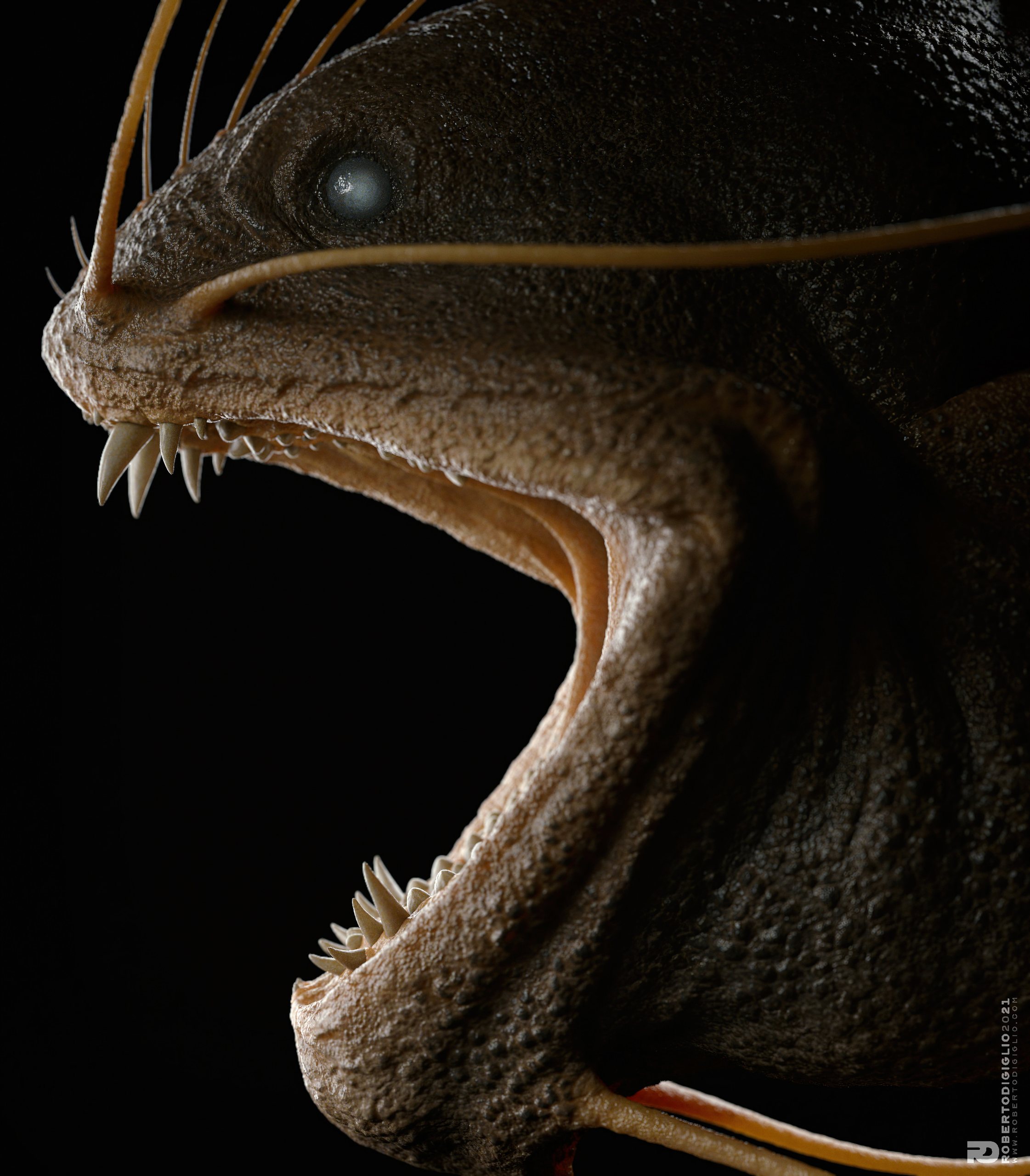 Teeth — a fictional fish inspired by fish taxidermy, creature design by Roberto Digiglio